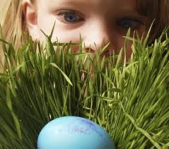 EggSplosion!